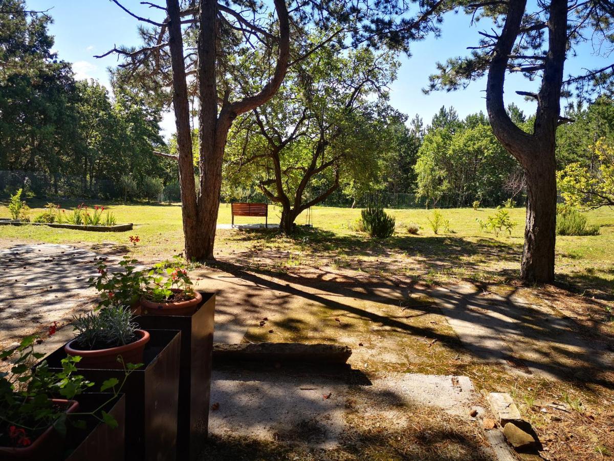 Pineta Villa Gračišče Dış mekan fotoğraf