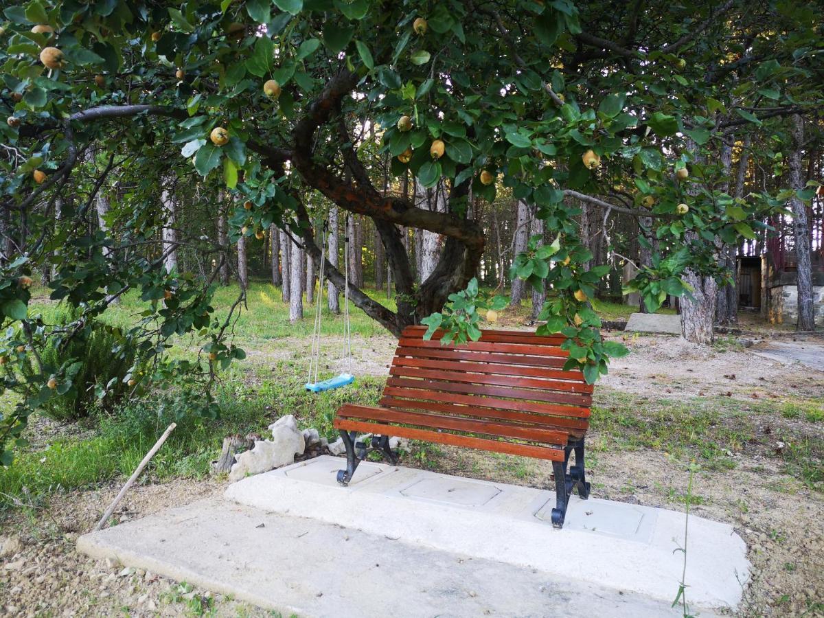 Pineta Villa Gračišče Dış mekan fotoğraf