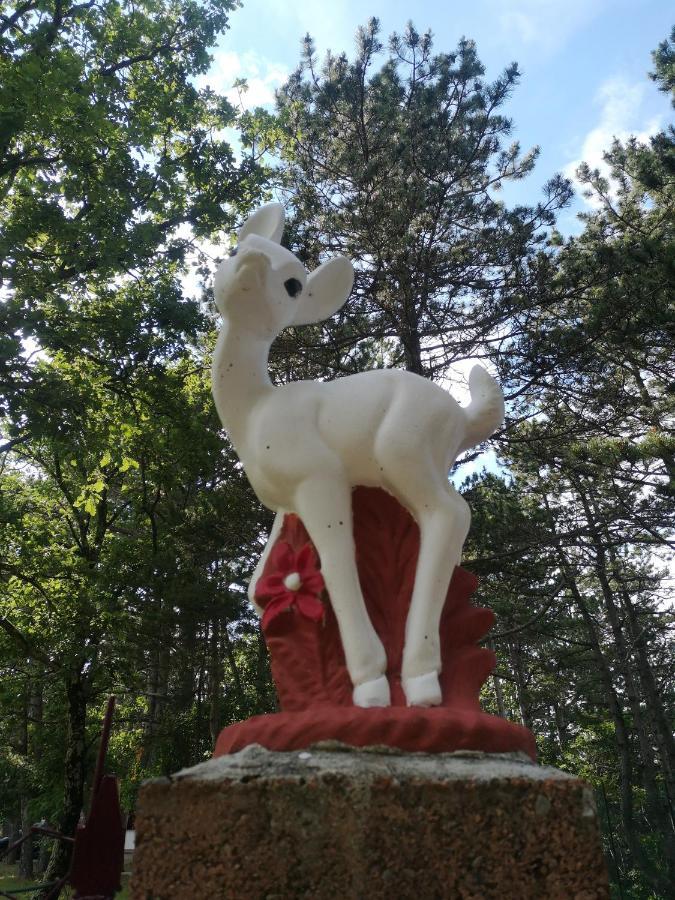 Pineta Villa Gračišče Dış mekan fotoğraf
