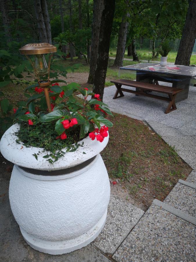 Pineta Villa Gračišče Dış mekan fotoğraf