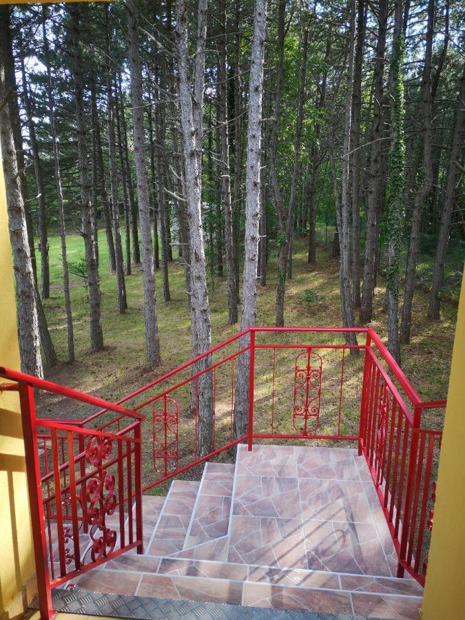 Pineta Villa Gračišče Dış mekan fotoğraf