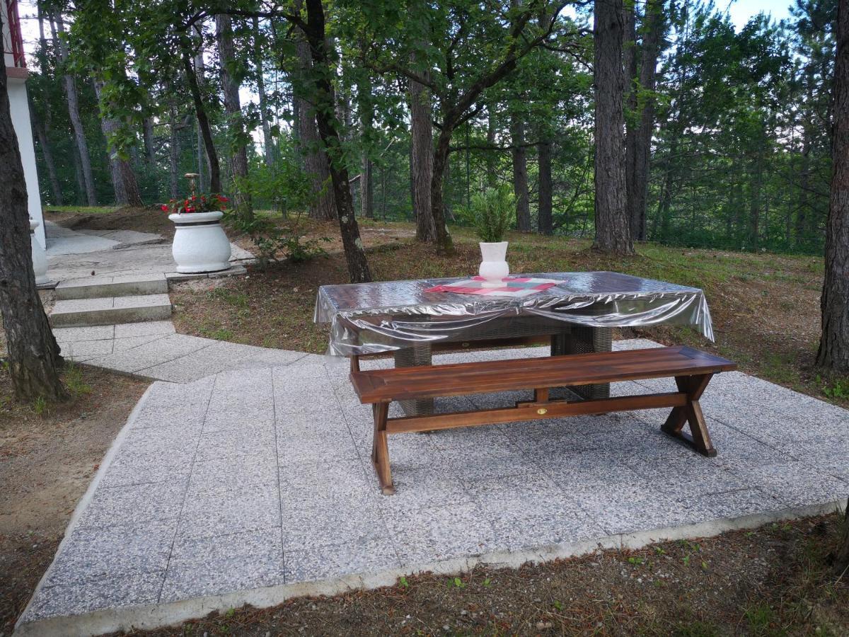 Pineta Villa Gračišče Dış mekan fotoğraf
