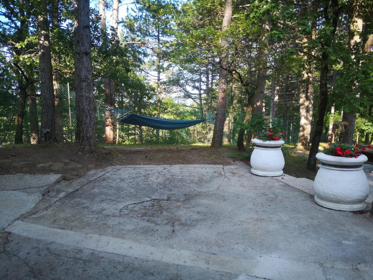 Pineta Villa Gračišče Dış mekan fotoğraf