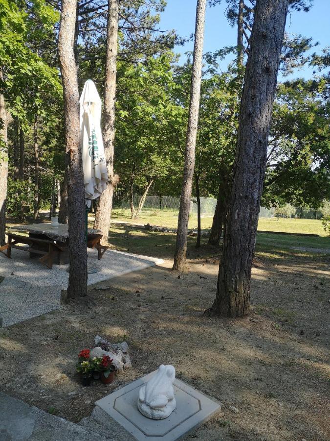 Pineta Villa Gračišče Dış mekan fotoğraf